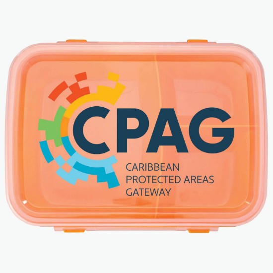 Lunch to Go Container - Full Color