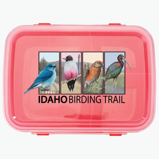Lunch to Go Container - Full Color