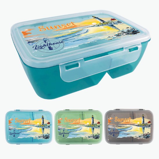 Translucent Lunch Container - Full Color