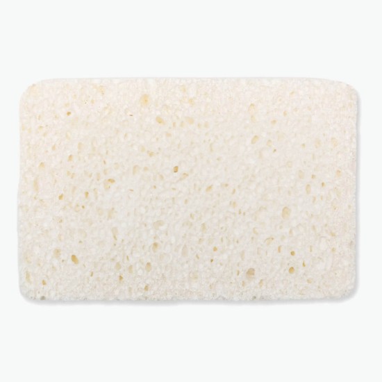 Eco Expand-It Sponge