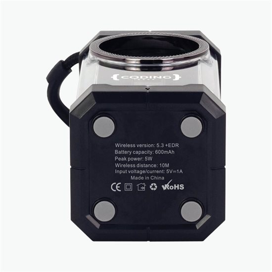 Echo Speaker