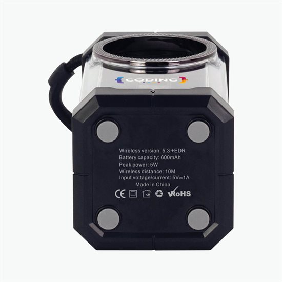 Echo Speaker - Full Color