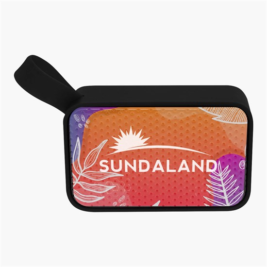 Mighty Mini Wireless Speaker - Full Color