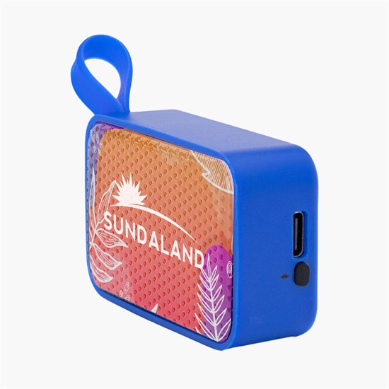 Mighty Mini Wireless Speaker - Full Color