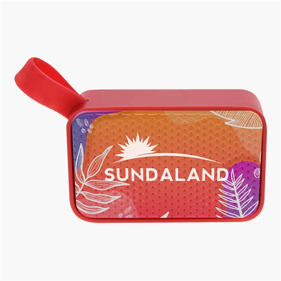 Mighty Mini Wireless Speaker - Full Color