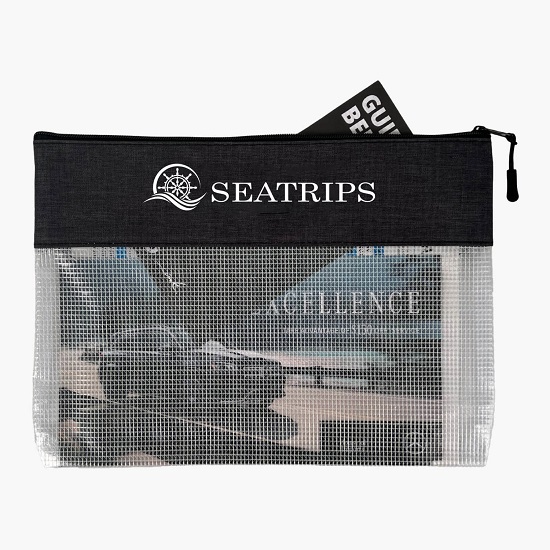 Modish Heathered Clear Document Pouch