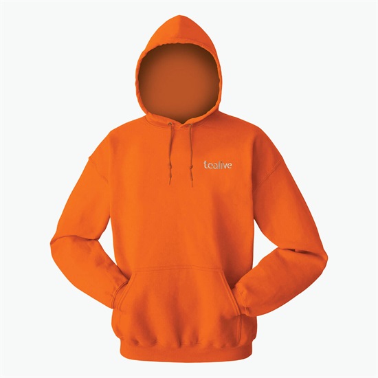 Blue Generation Cotton Blend Hoodie - Embroidered