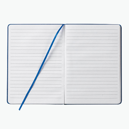ZDISC-Jane 5 x 7 Journal