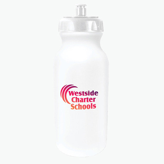 20 oz Antimicrobial Value Cycle Bottle with Push 'n Pull Cap - Full Color