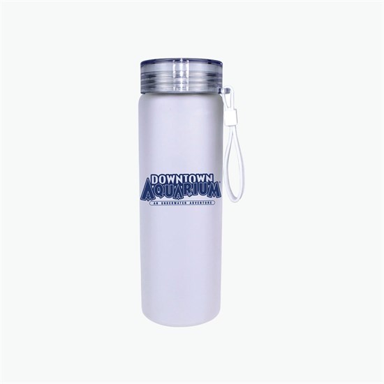 20 oz Halcyon Frosted Glass Bottle with Screw on Lid - Clearance