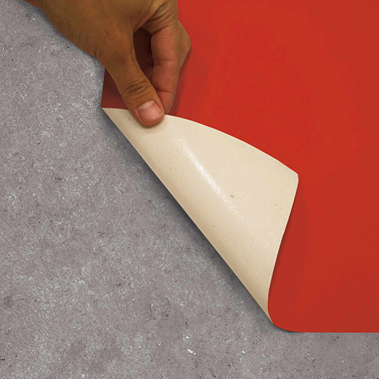 Surface Indoor Removable Graphics - 18 Circles - Pack of 6