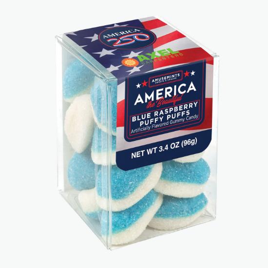 America 250 Treat Box