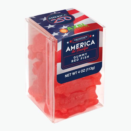 America 250 Treat Box