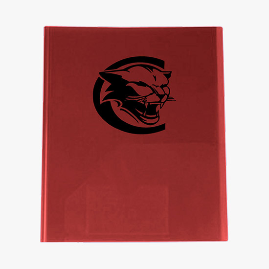 Translucent Professional Poly Presentation Folder - Multi-Color Imprint