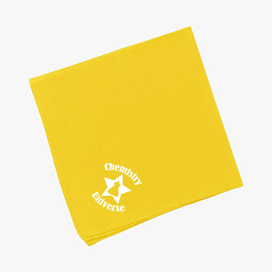 Hanky Bandanna 14 Square