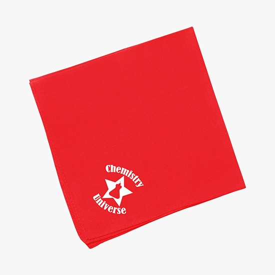 Hanky Bandanna 14 Square