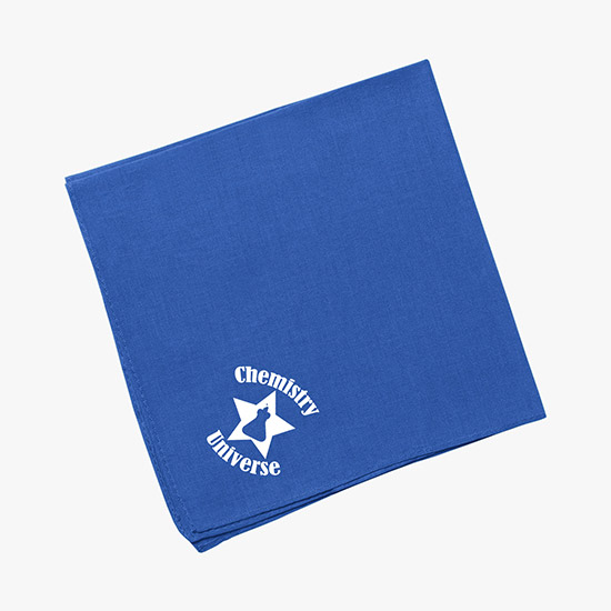 Hanky Bandanna 14 Square