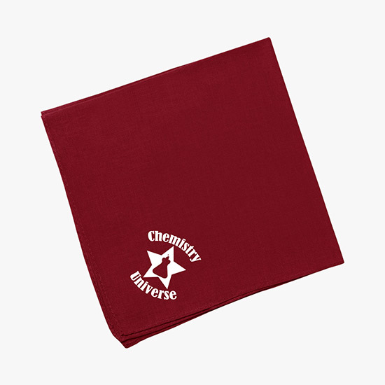 Hanky Bandanna 14 Square