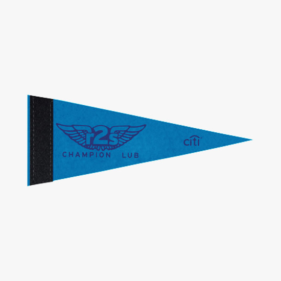 Felt Pennant - 4 x 10