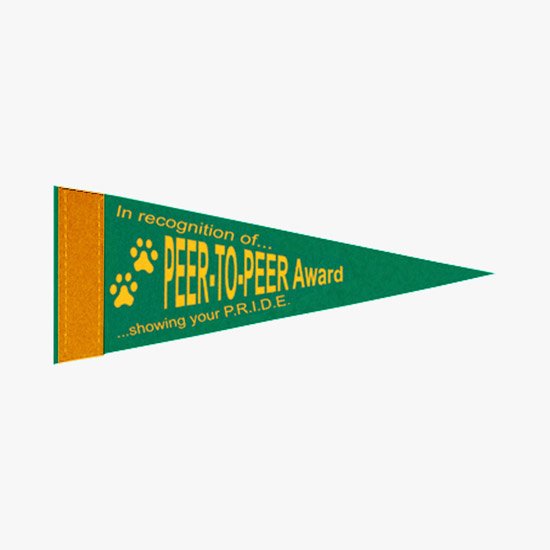 Felt Pennant - 4 x 10