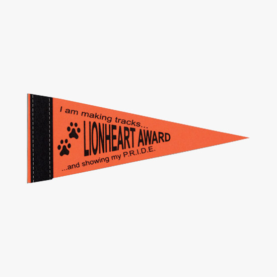 Felt Pennant - 4 x 10