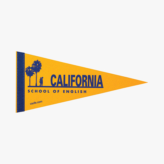 Felt Pennant - 8 x 18