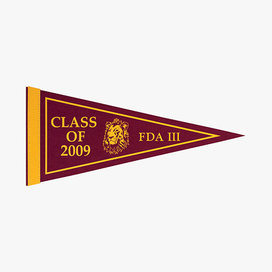 Felt Pennant - 8 x 18