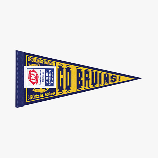 Felt Pennant - 8 x 18