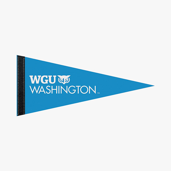 Felt Pennant - 8 x 18