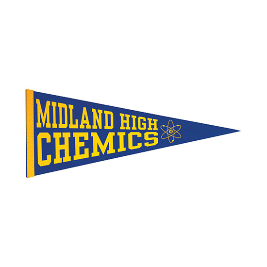 Felt Pennant - 12 x 30