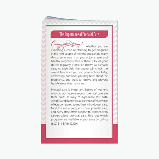 Better Book Guide & Organizer - Prenatal Care