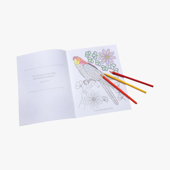 Color Comfort Coloring Books for Adults