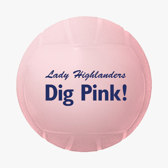 Mini Vinyl Volleyball