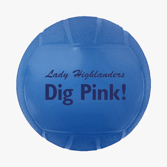Mini Vinyl Volleyball