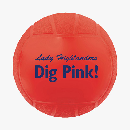 Mini Vinyl Volleyball