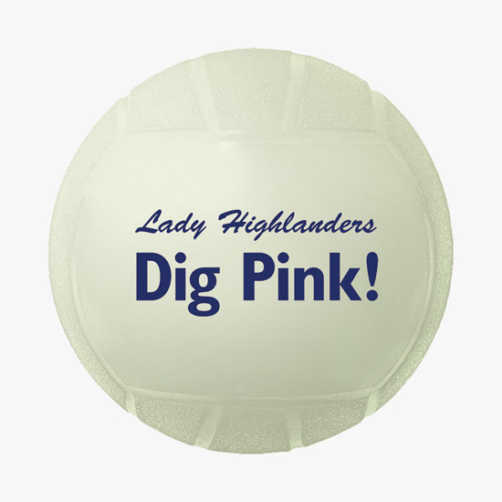 Mini Vinyl Volleyball