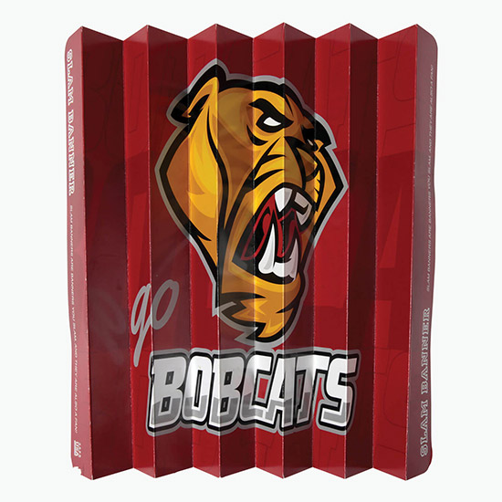 Fan Banner