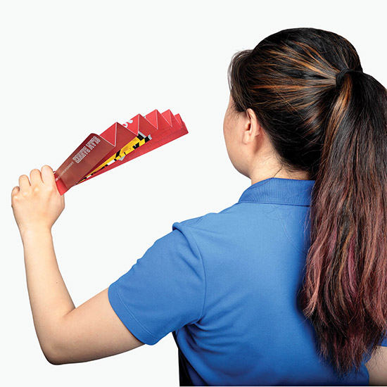 Fan Banner