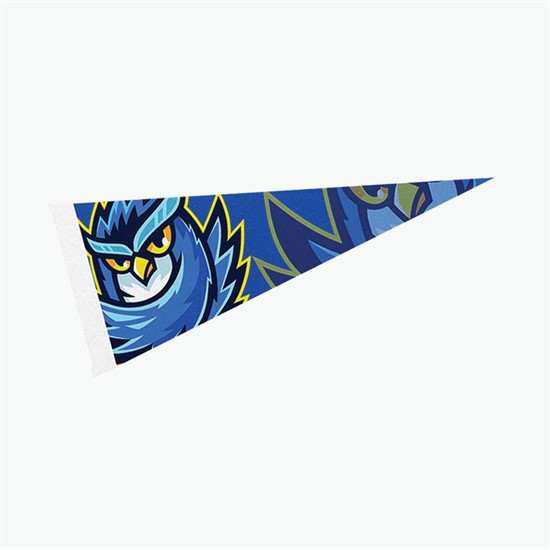 Full Color Pennant - 4 x 10