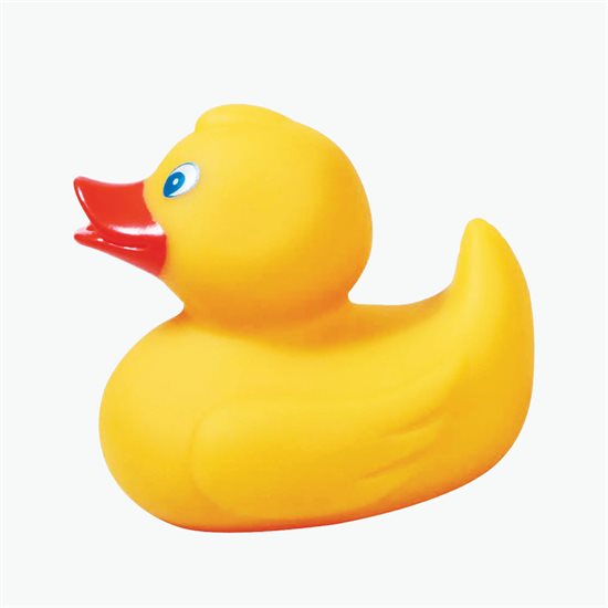Waddles Rubber Duck - Medium - 24-Hour Production