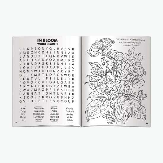 Mindscapes Adult Activity Book - Adventure Awaits