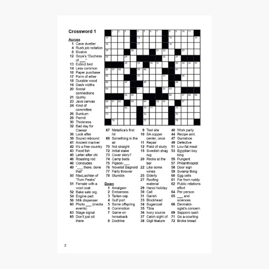 Puzzling Activity Book