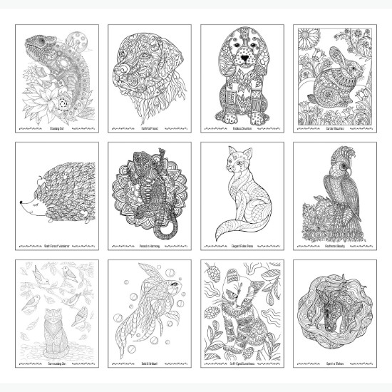 Unwind with Pets Adult Coloring Book