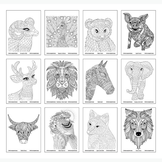 Wild Wonders Adult Coloring Book