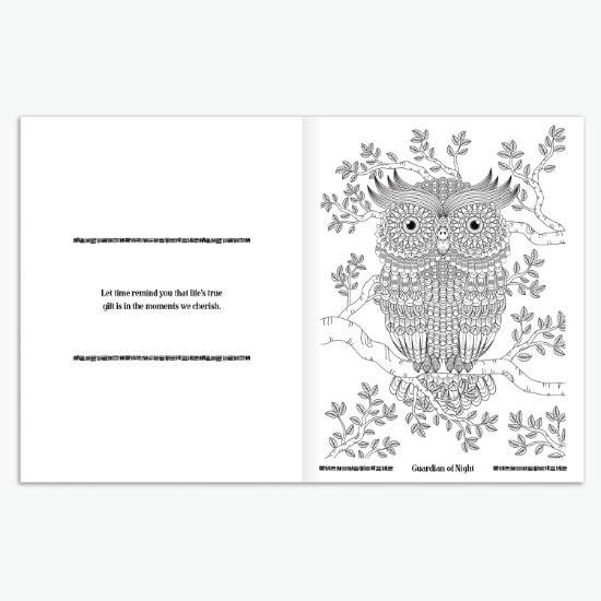 Wild Wonders Adult Coloring Book