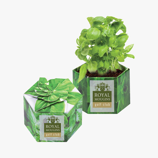 Pop Up Plant Starter Kit