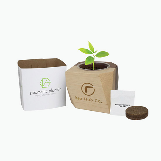 Geometric Wooden Planter