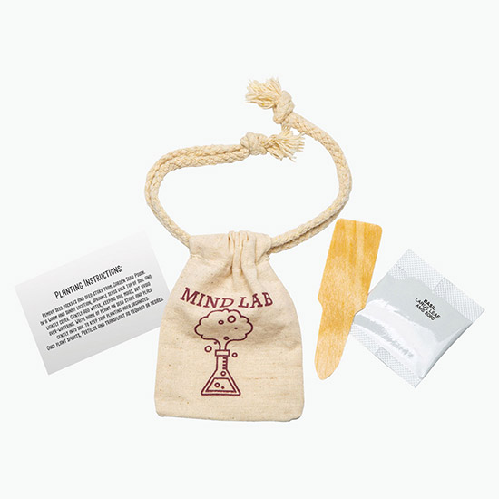 Garden Seed Pouch Kit