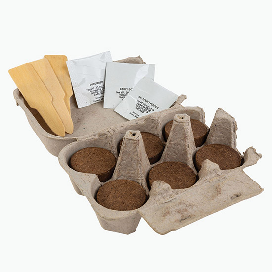 Carton Garden Veggie Kit
