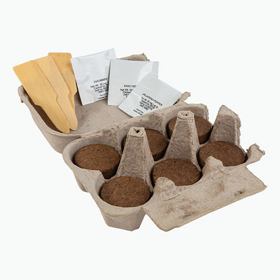 Carton Garden Herb Kit